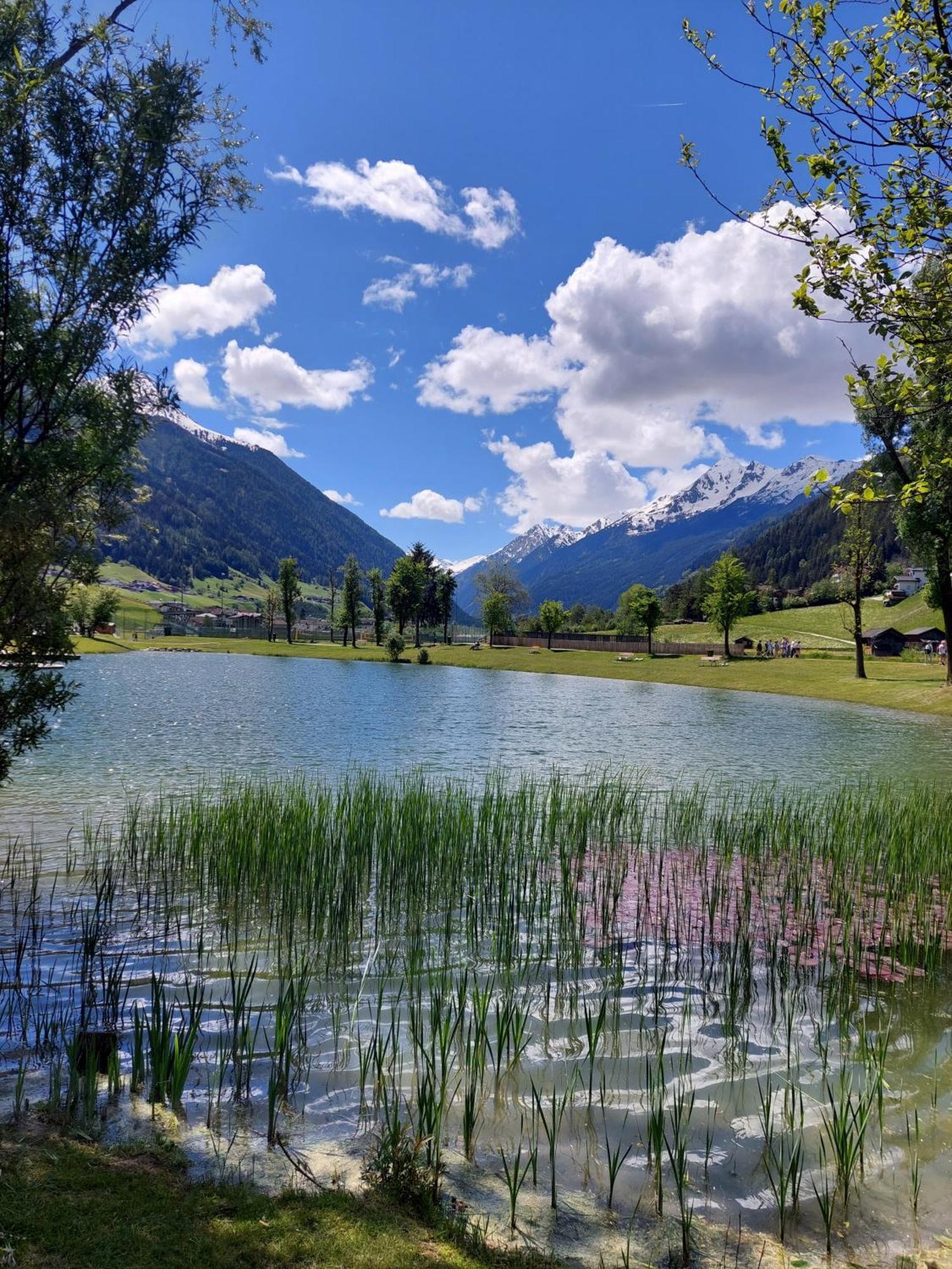 Pension Riese Neustift im Stubaital Esterno foto